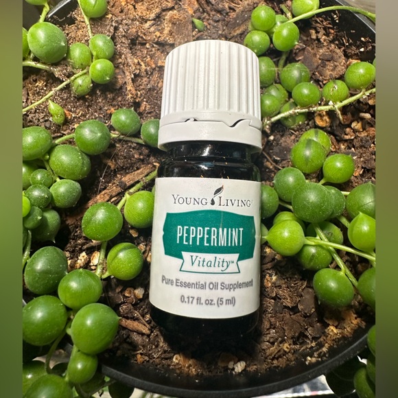 *Buy Now Priced* Young Living Peppermint Vitality 5ml Essential Oil - Picture 4 of 5